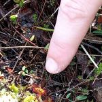 img-20220607-wa0014