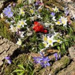 img-20220328-wa0024