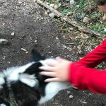 img-20210923-wa0017