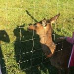 img-20210923-wa0037