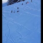 img-20230313-wa0011