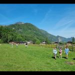 img-20250515-wa0048