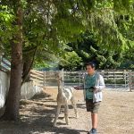 img-20250515-wa0053