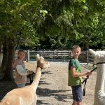 img-20250515-wa0058