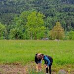 img-20250520-wa0006