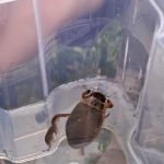 img-20250520-wa0010