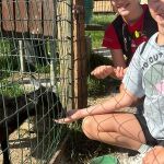 img-20250630-wa0046