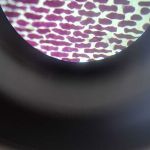 img-20250701-wa0080
