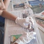 img-20250701-wa0084