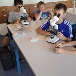 img-20250701-wa0086