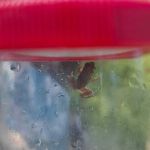 img-20250702-wa0144