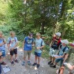 img-20250702-wa0147