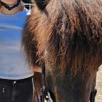 img-20250702-wa0197