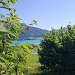 img-20250627-wa0061