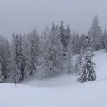 img-20181213-wa0007